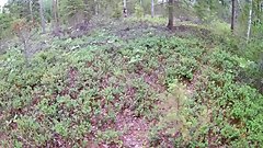 Pervert guy catches young girl