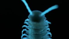 L.S. Alberto â€¢ Production