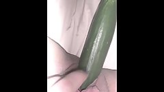 Fucking My Tight Teen Pussy With A Thick Cucumber