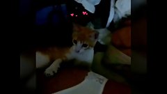 My kitten won't let me get the pussy