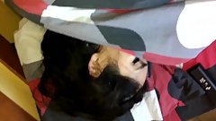 Amiga despues de fiesta de playa