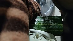 Cumming inside cucumber