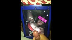 A1 Canadian Tits *Tribute Video #6*