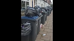 pussy - garbage - dirty