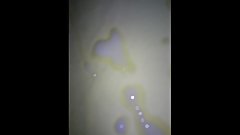 Ich wichse mein Bett voll