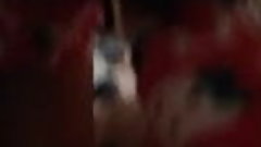 Tuga Lisboa tel 932315450